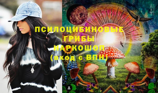 а пвп мука Алзамай